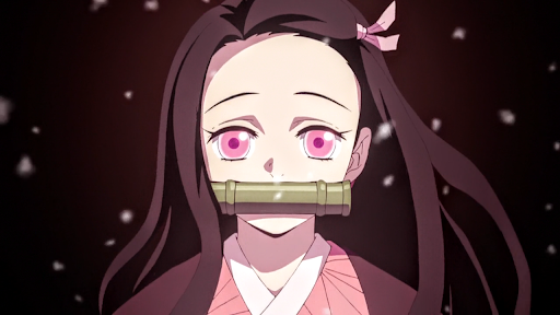 竈門 禰豆子(かまど ねずこ)