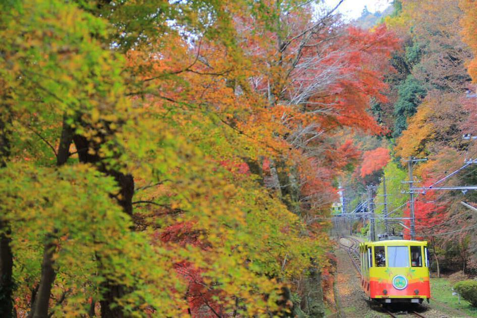 Mountain autumn view from Mount Takao in Tokyo