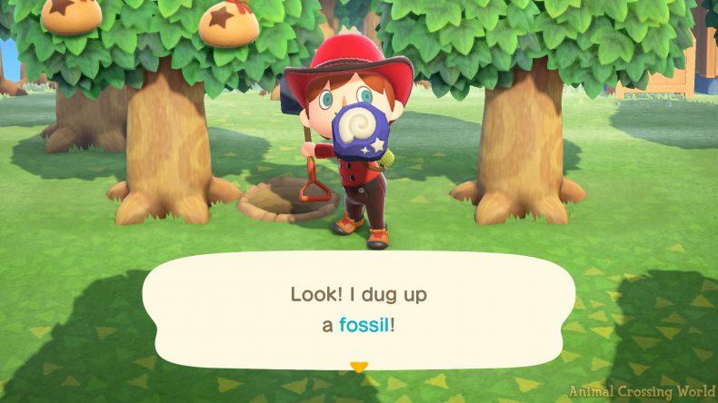 Imagem de Escavação de Fósseis no Animal Crossing
