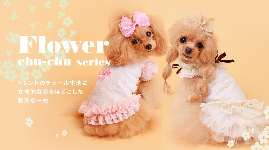 GODPIVA dog clothing brand from Japan