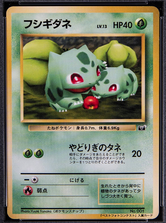 imagem do card Snap Contest Bulbasaur