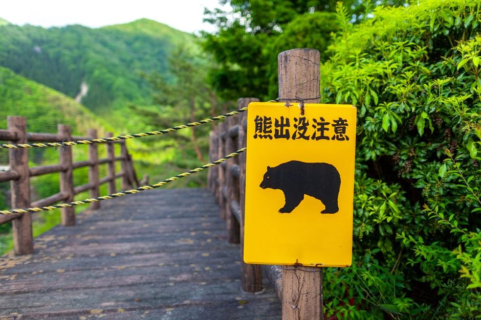 japan-bear-warning