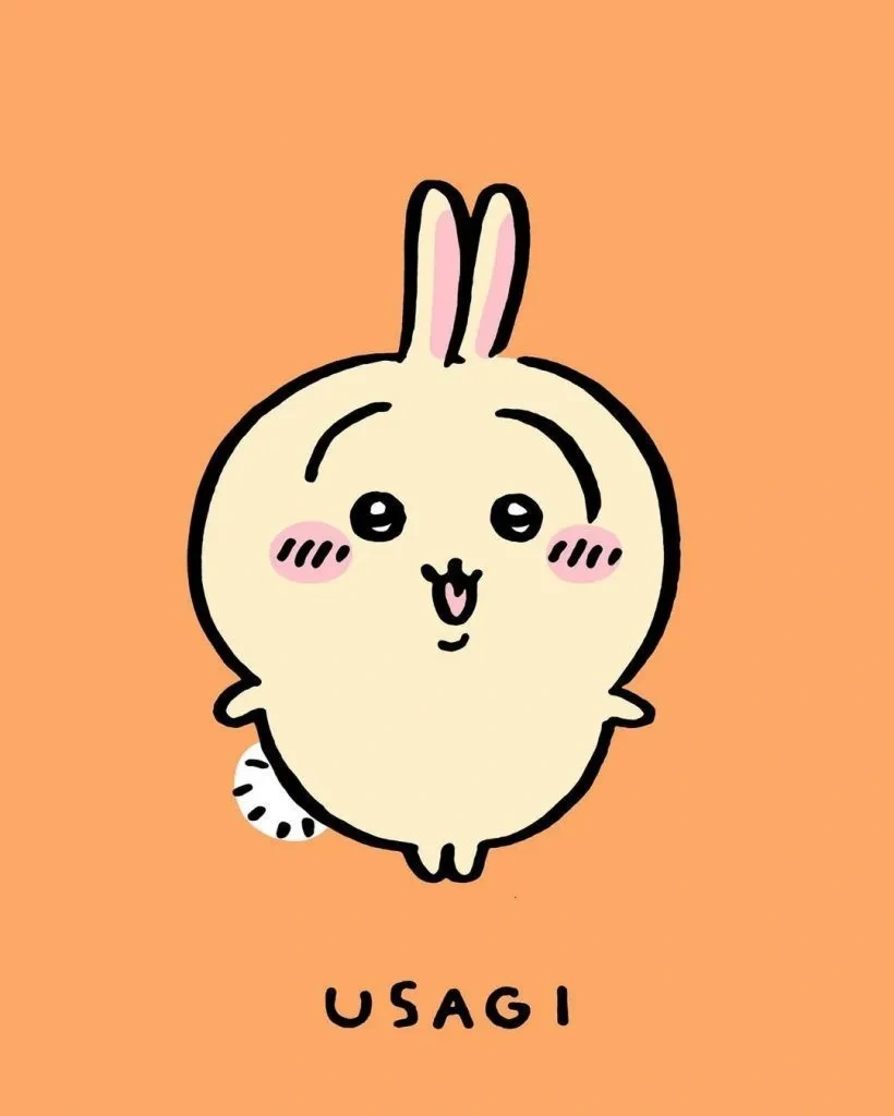 Usagi