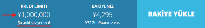 How To Use ZenMarket Credit System