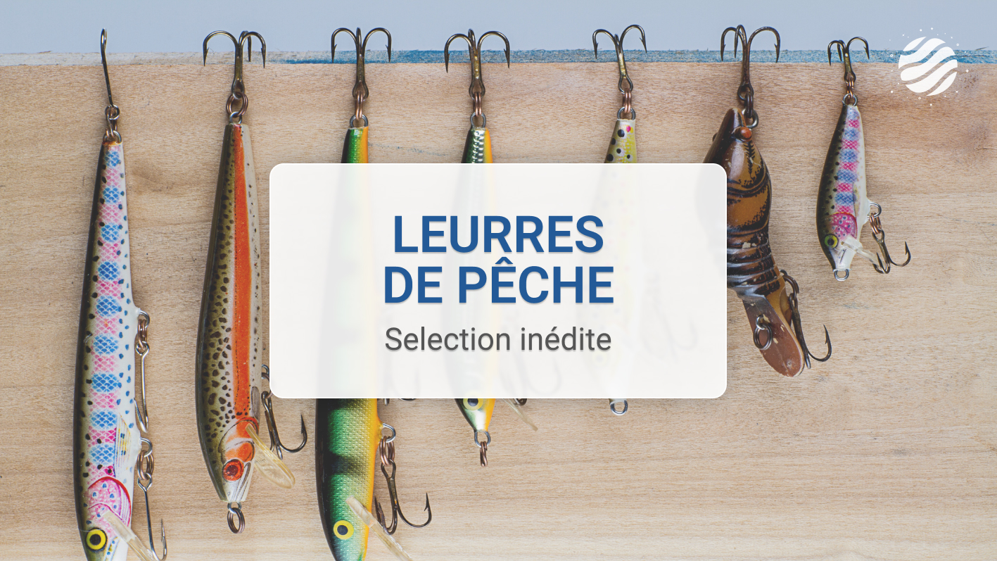 Leurre de pêche leurre mégabasse lot de 3