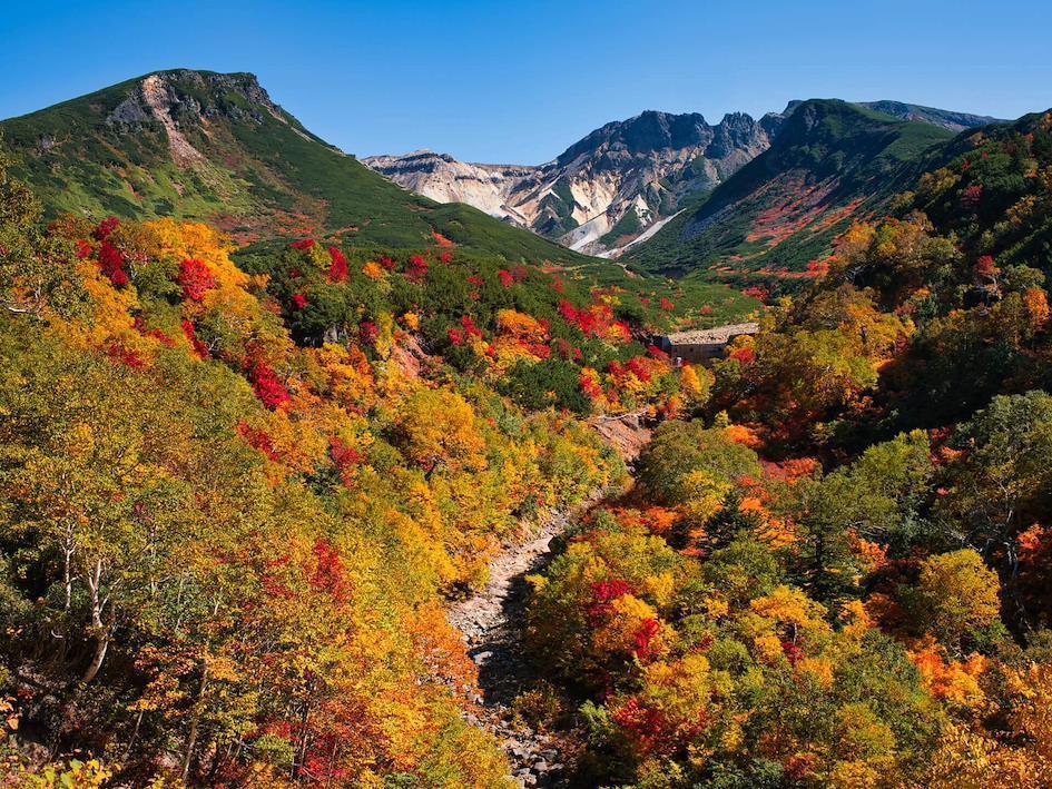 daisetsuzan asahidake hokkaido