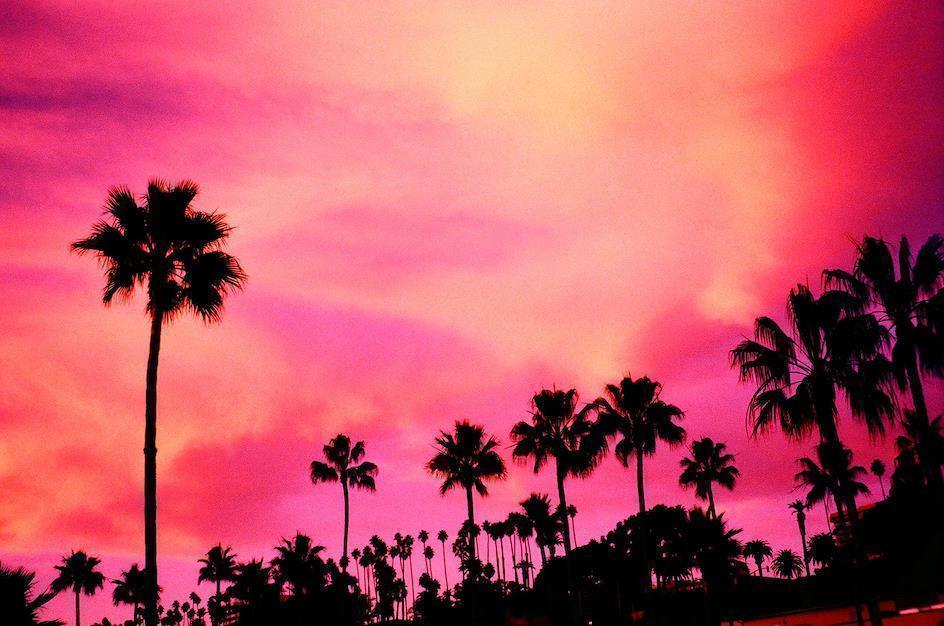 Santa Monica beach captured with a Yashica T4, Tungsten 64 35mm film. Photo Courtesy of Lomography.