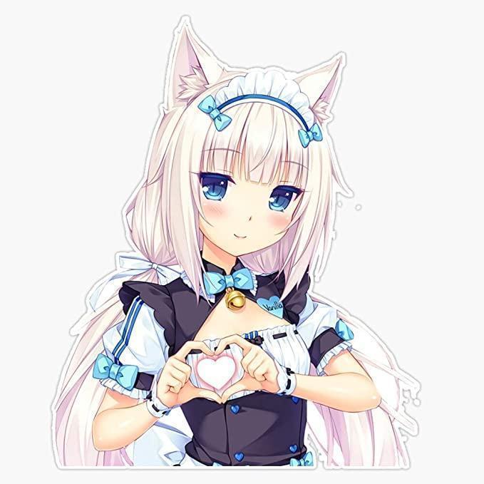 Top 15 Cute Anime Cat Girls - Who's Your Favourite?  - Japan  Shopping & Proxy Service