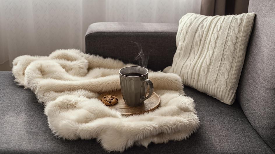throw blankets and cushions from Japanese home goods store francfranc