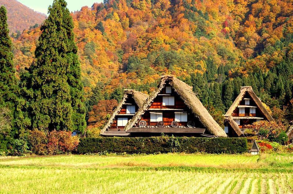 Shirakawa-go, Gifu in fall