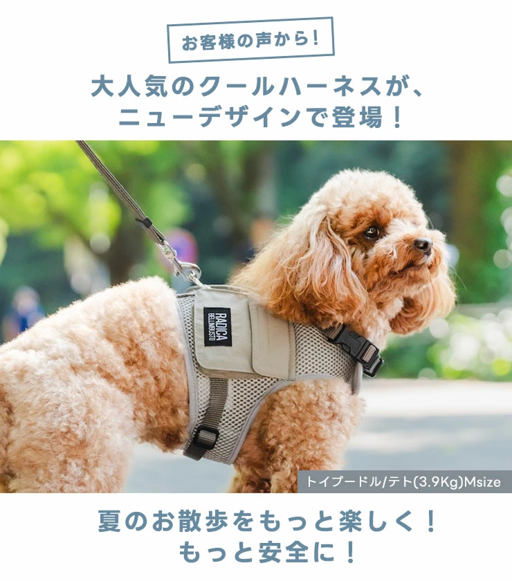 mesh cargo vest harness