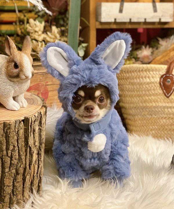 Fluffy rabbit romper
