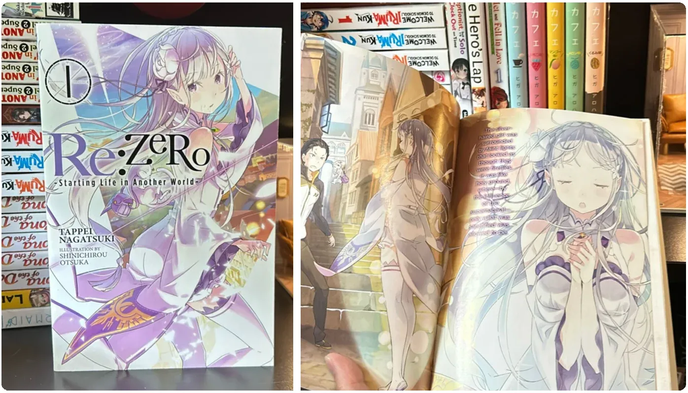 What Are Japanese Light Novels? Beginner’s Guide & Top Picks