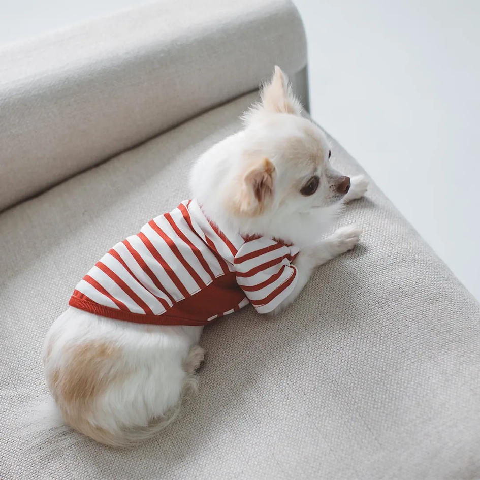 Marine border striped shirt