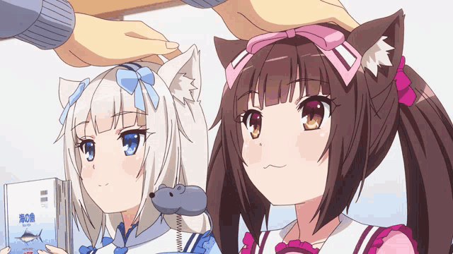 E Hentai Nekopara