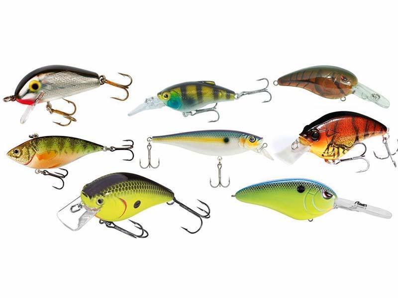 Fusion X Fishing - Xessential Bass Fishing Soft Plastic Lure Making Kit :  : Sports, Fitness & Outdoors