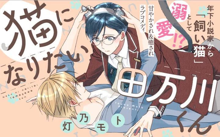 Imagem ilustrativa do anime NEKO NI NARITAI, TAMAGAWA-KUN