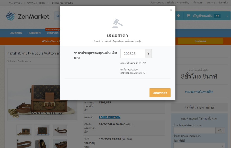 Enter Your Bid