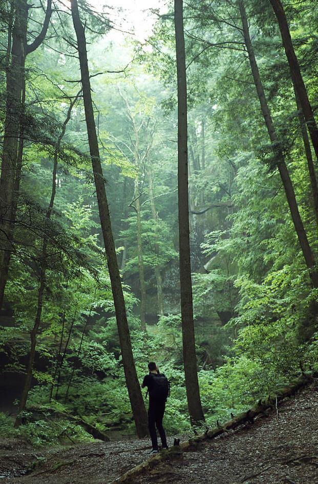 Portrait shot of a man in a forest captured on a Nikon F2. Photo courtesy of FStoppers.