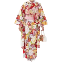 Komon (Patterned) Japanese Kimonos for Women