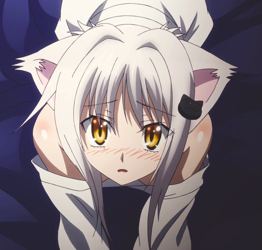 Best Anime Catgirls