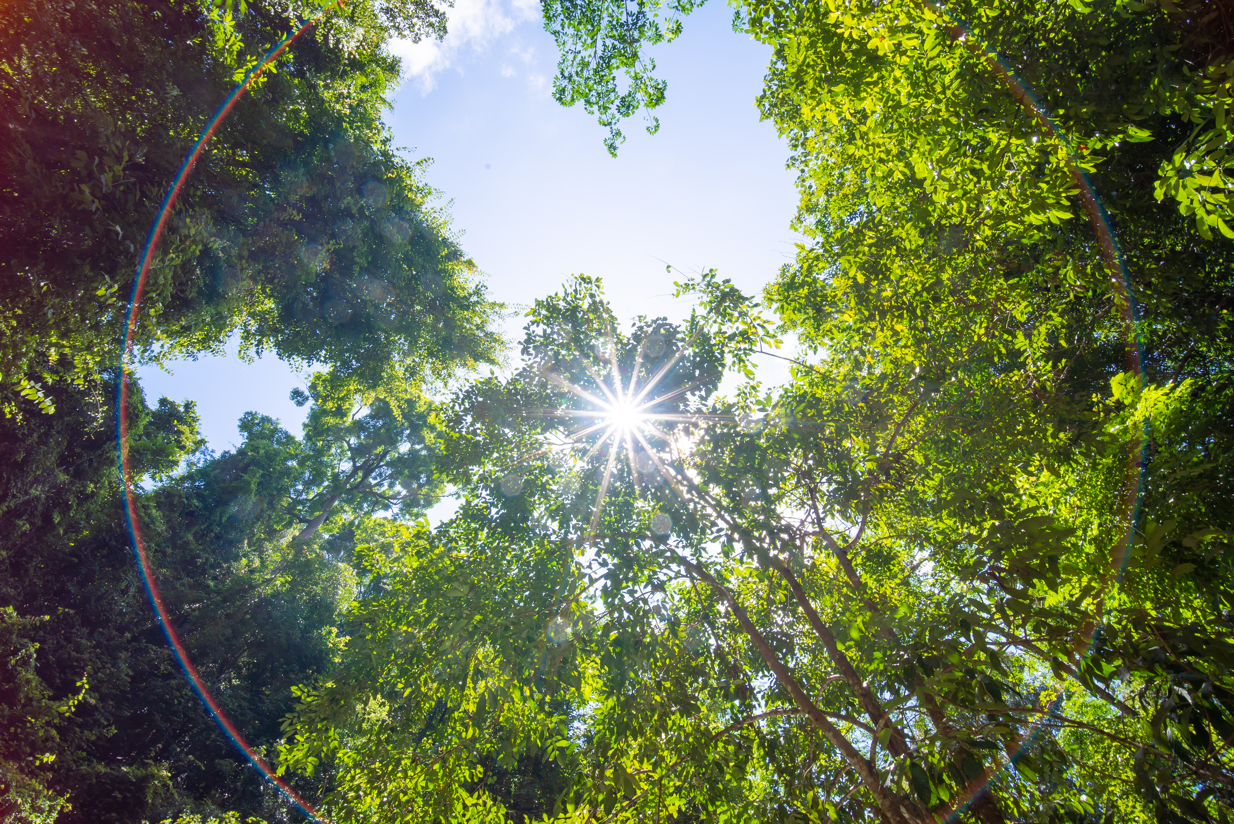 ZenGroup sustainability