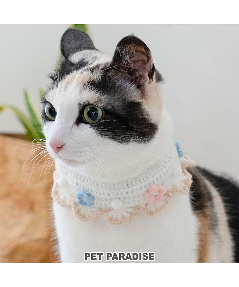 Crocheted cat collar