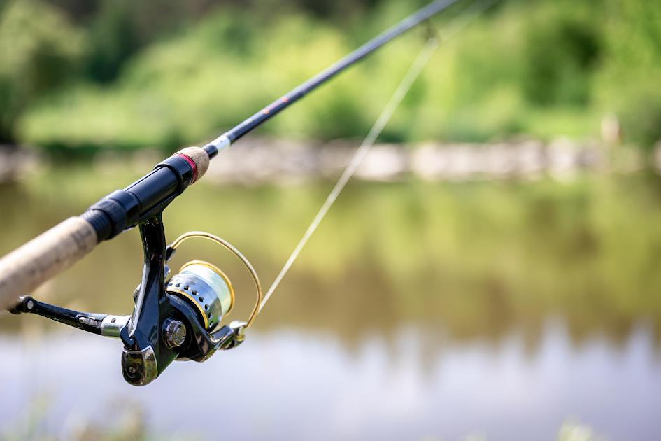 fishing