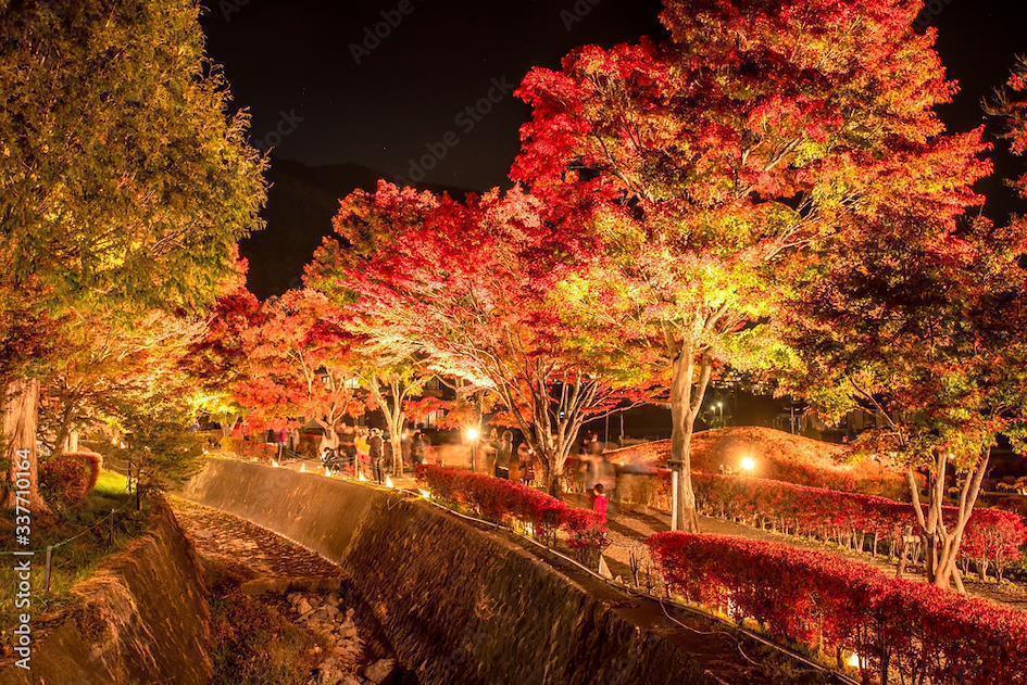 Momiji Kairo in Kegon Waterfall, Nikko, Tochigi 