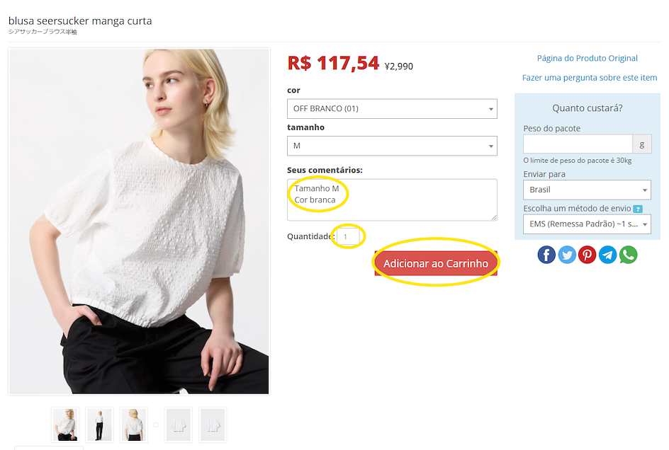 Detalhamento das características do produto
