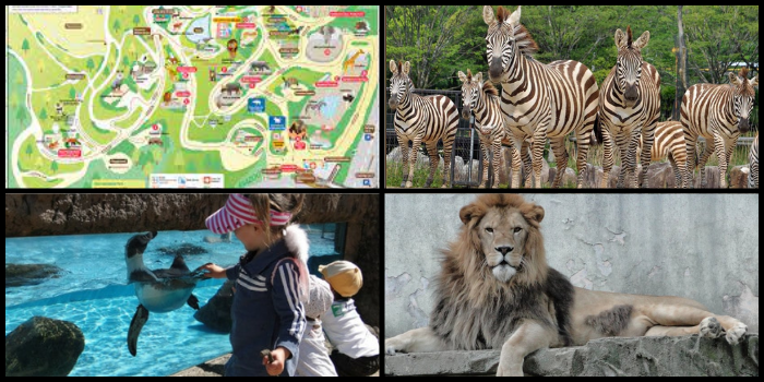 حديقة حيوانات آسا زوو - أفضل 15 وجهة سياحية في هروشيما، اليابان