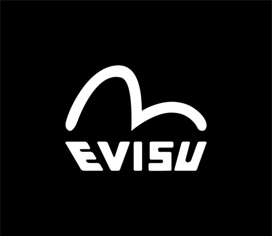 evisu logo