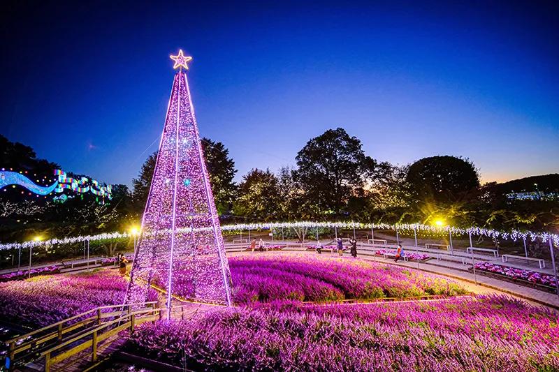 Parque Ashikaga Flower iluminado para o Natal