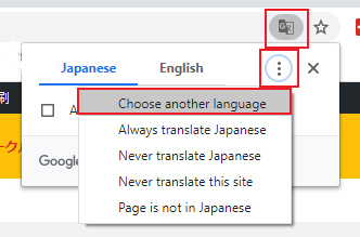 come usare google translate per tradurre AmiAmi