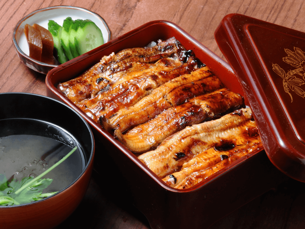 日本最強消暑美食大集結 - 鰻魚料理 / 愛知縣