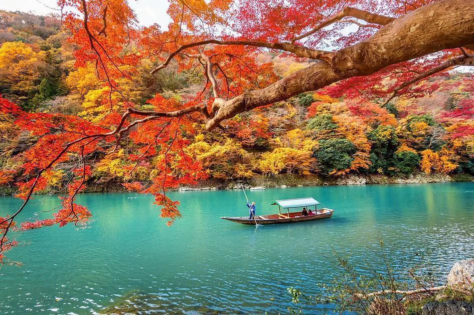 A scenic beauty of Arashiyama in Kyoto during fall