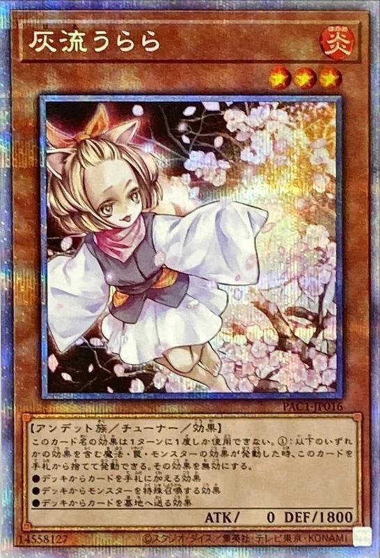 Wersja OCG