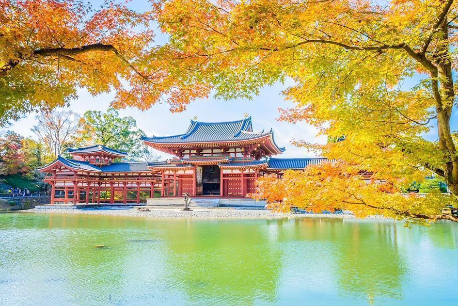 famous japanese heritage architecture with momiji in fall