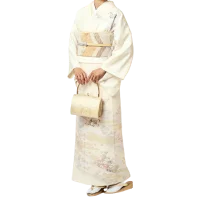 Kimono Nhật Bản Houmongi ngay bây giờ