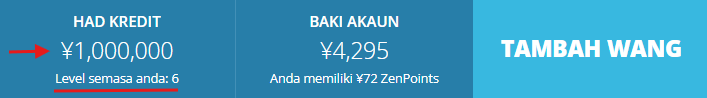 How To Use ZenMarket Credit System