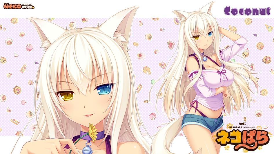 Anime Cats Girls With Zenmarket Japanese Shopping Service