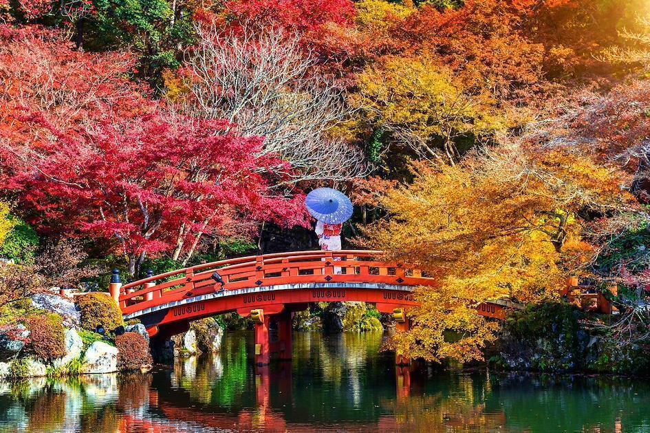 japanese kimono woman holding umbrella japanese style momiji red bridge