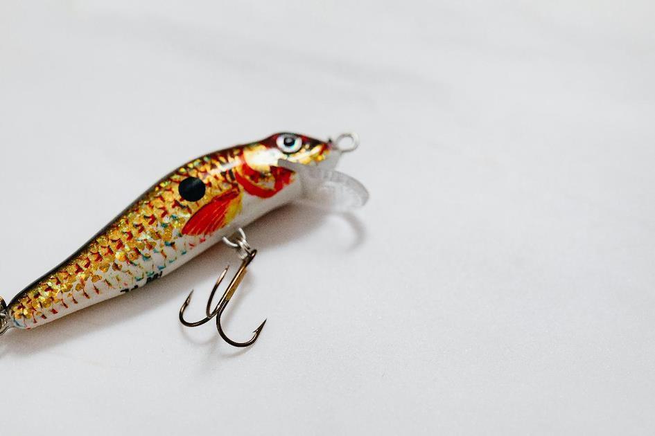 A fishing lure with hooks