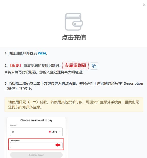 Wise 付款页面