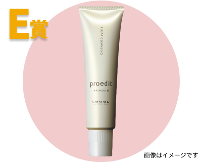 E賞 ルベル プロエディット フロートクレンジング 250ml
