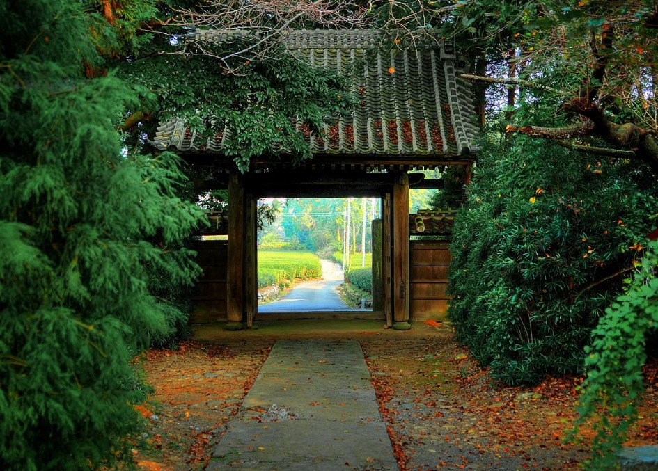 Tea fields outside a temple gate in Shizuoka