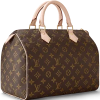 сумки Louis Vuitton по моделям Speedy