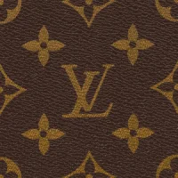 Monogram-Louis Vuitton Taschen aus Japan