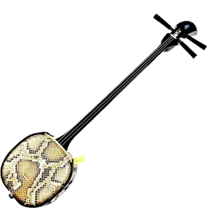 en Amazon Instrumentos de cuerdas