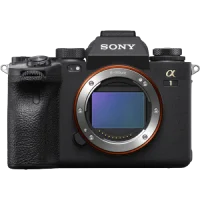 Mirrorless Camera by types on Y!Auction